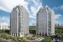 Settlement建筑物沉降分析软件
